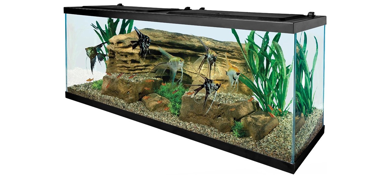 Tetra Complete LED Aquarium Kit