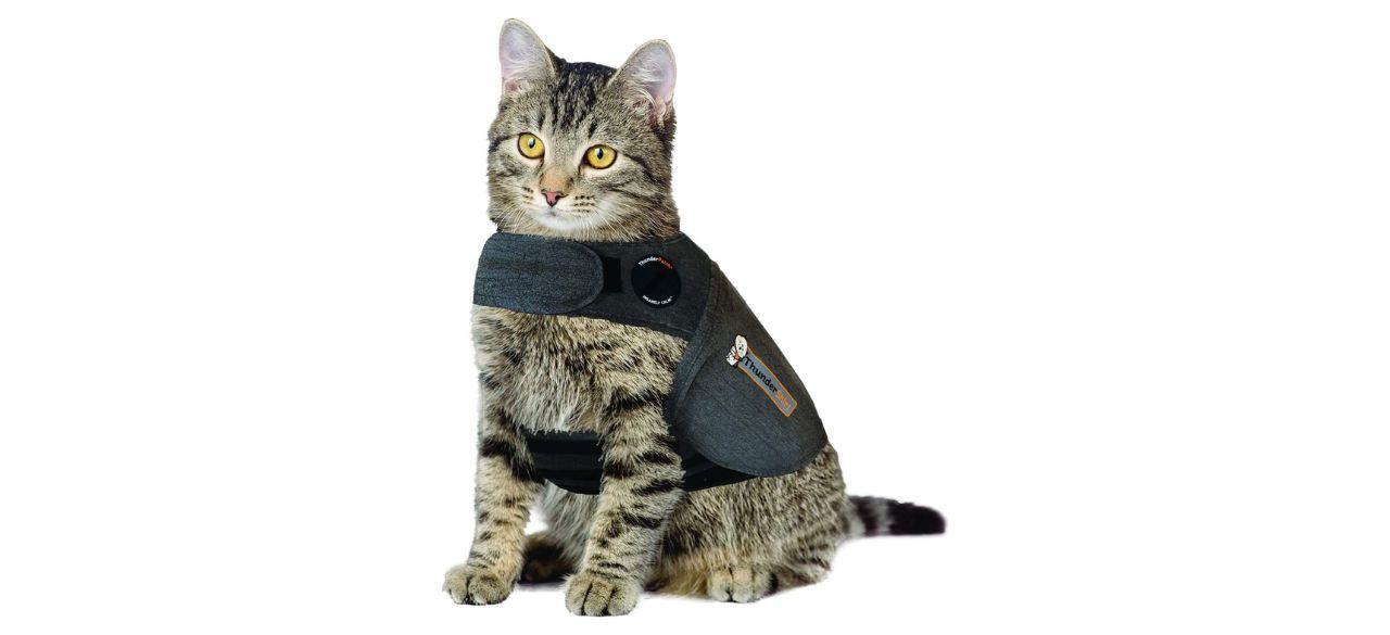 Thundershirt for Cats