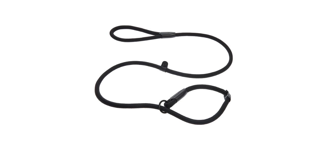 Best slip lead clearance leash