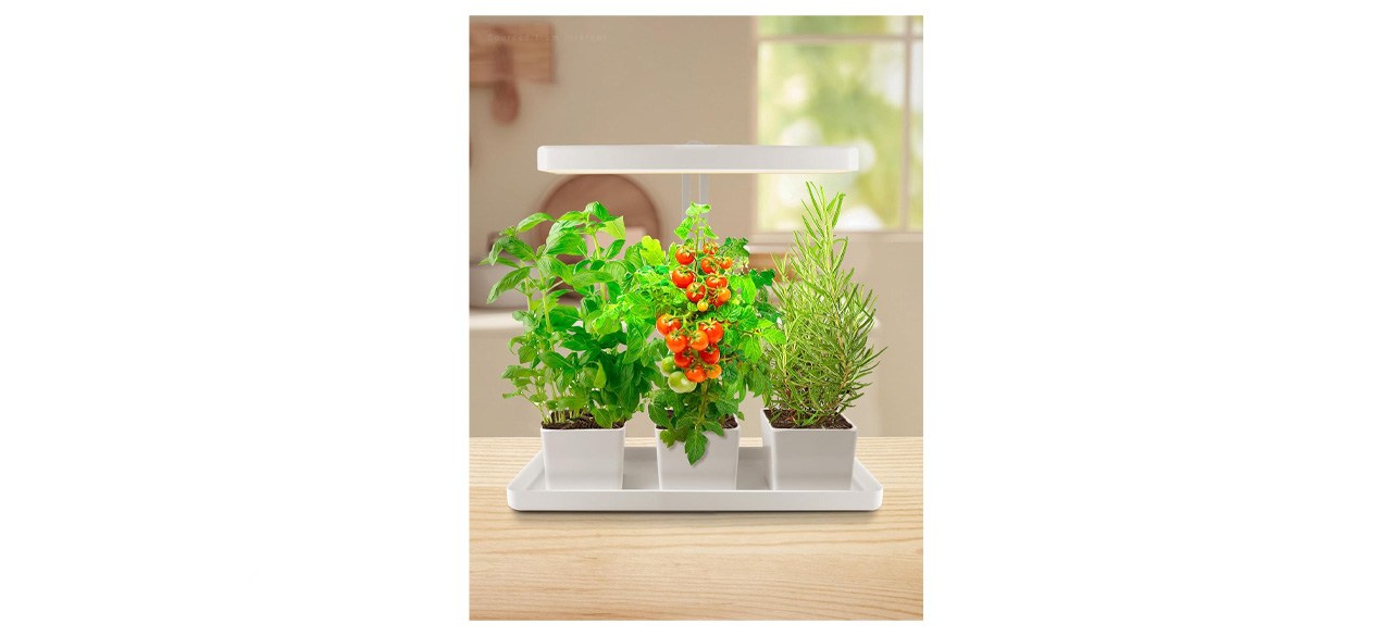 TORCHSTAR Indoor Garden Kit