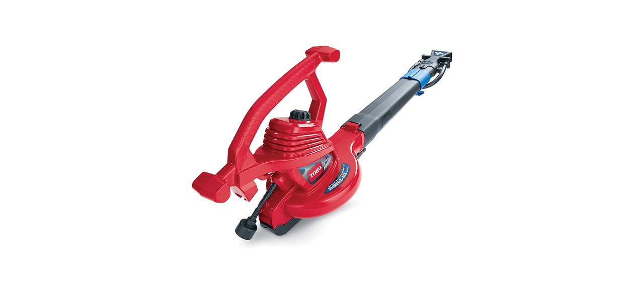 Best Toro UltraPlus 3-in-1 Leaf Blower