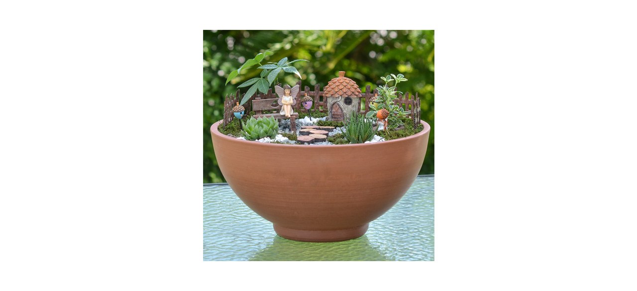 Trinx Fairy Garden Kit