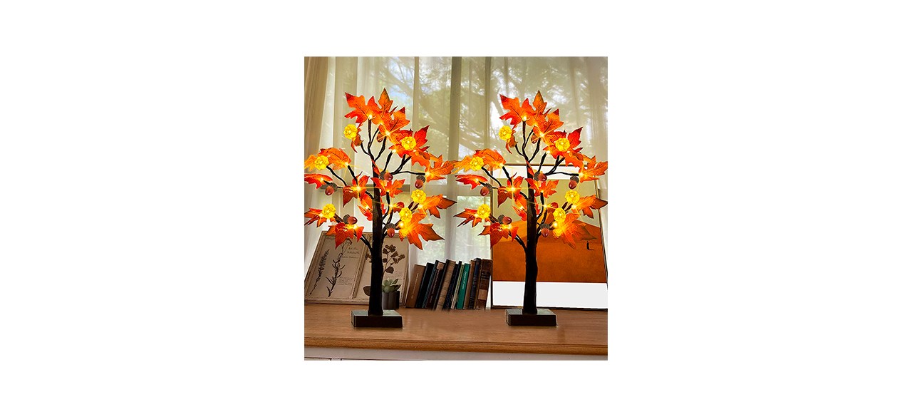 Best TURNMEON 24-Inch Lighted Maple Trees, 2-Pack