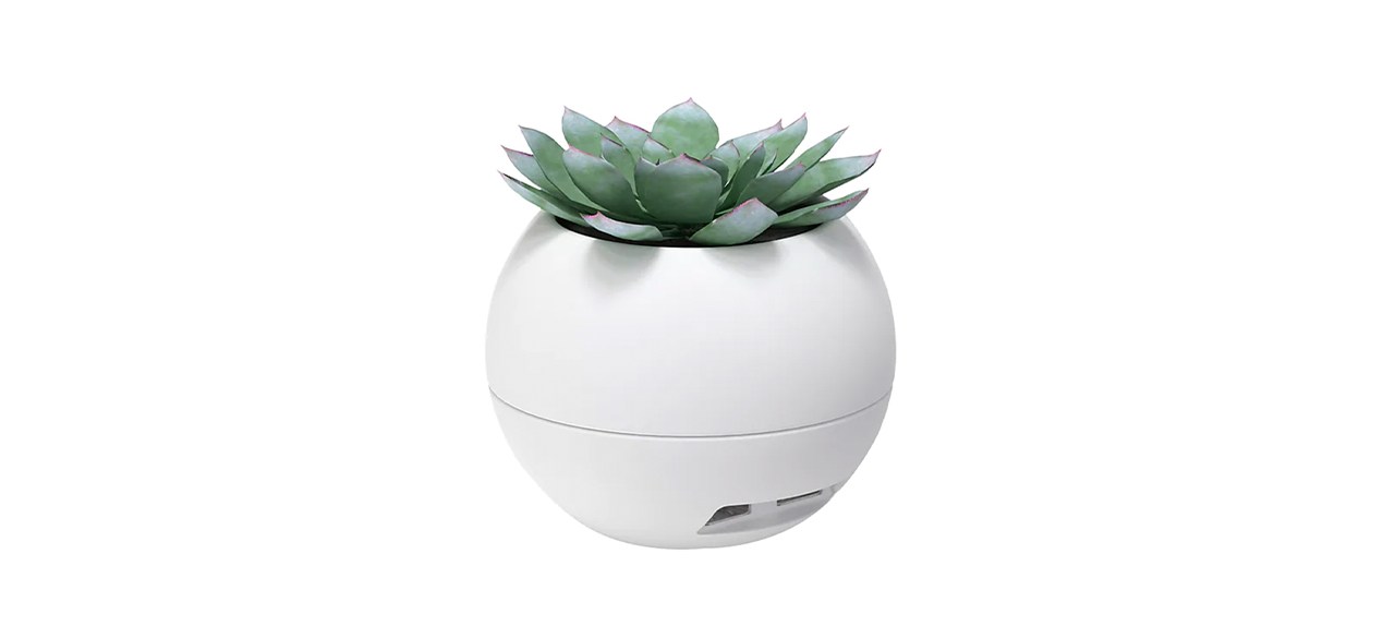 Best U Brands Mod Orb 1-Compartment Paper Clip Planter with USB Charging