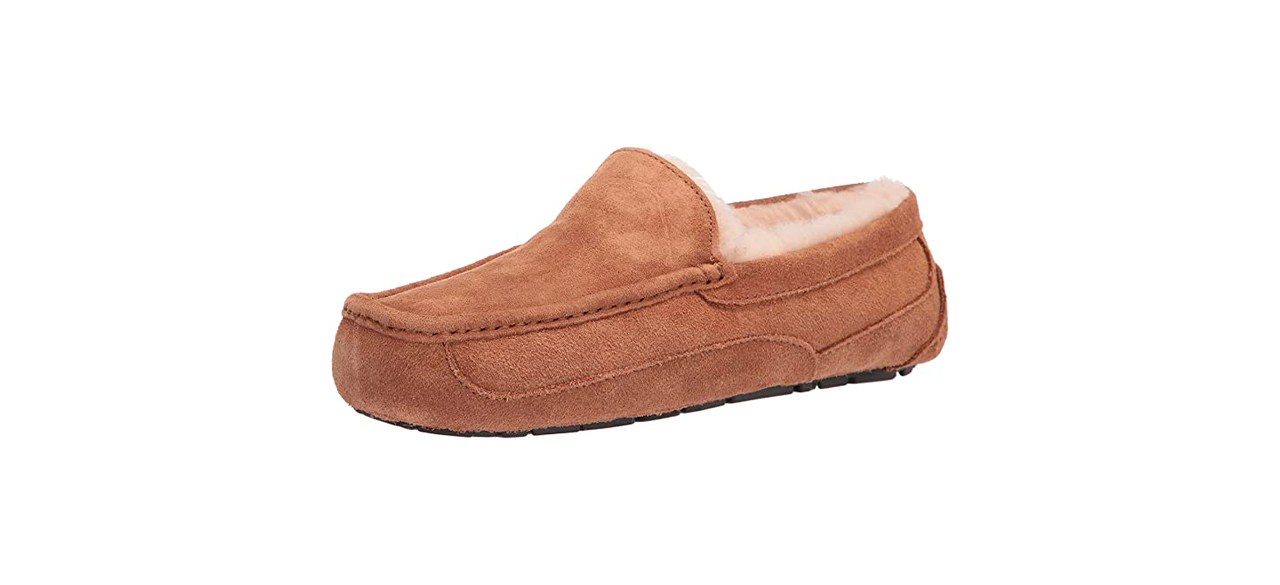 Best Ugg Men's Ascot Slipper