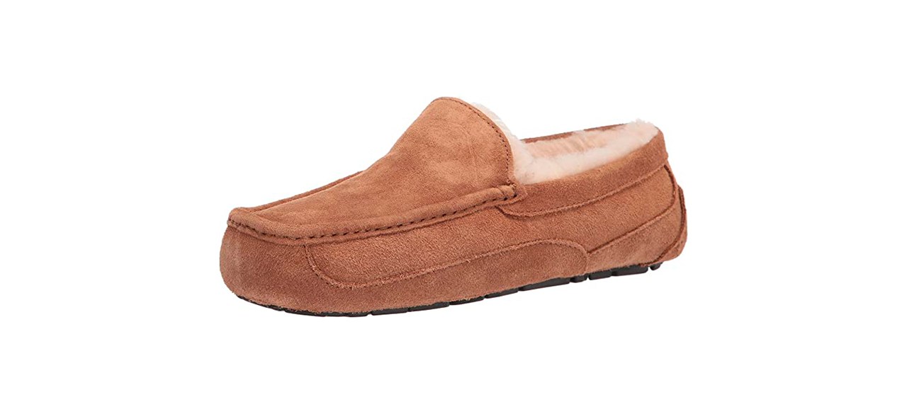 Best UGG Mens Ascot Slipper