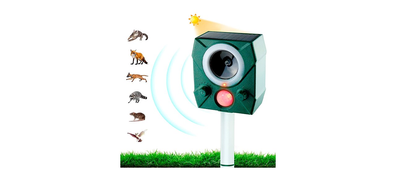 Best Ultrasonic Animal Repeller