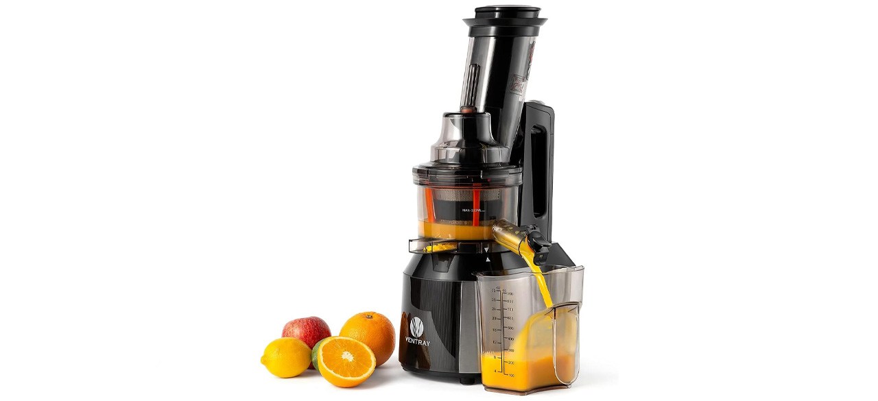 Ventray Masticating Juicer Machine