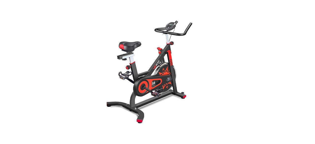 Best Vigbody Indoor Cycling Exercise Bike