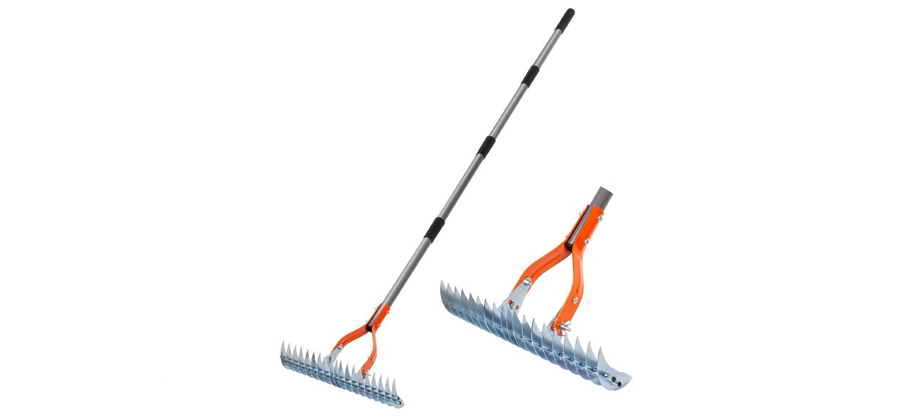     Ancinho de palha de Valência