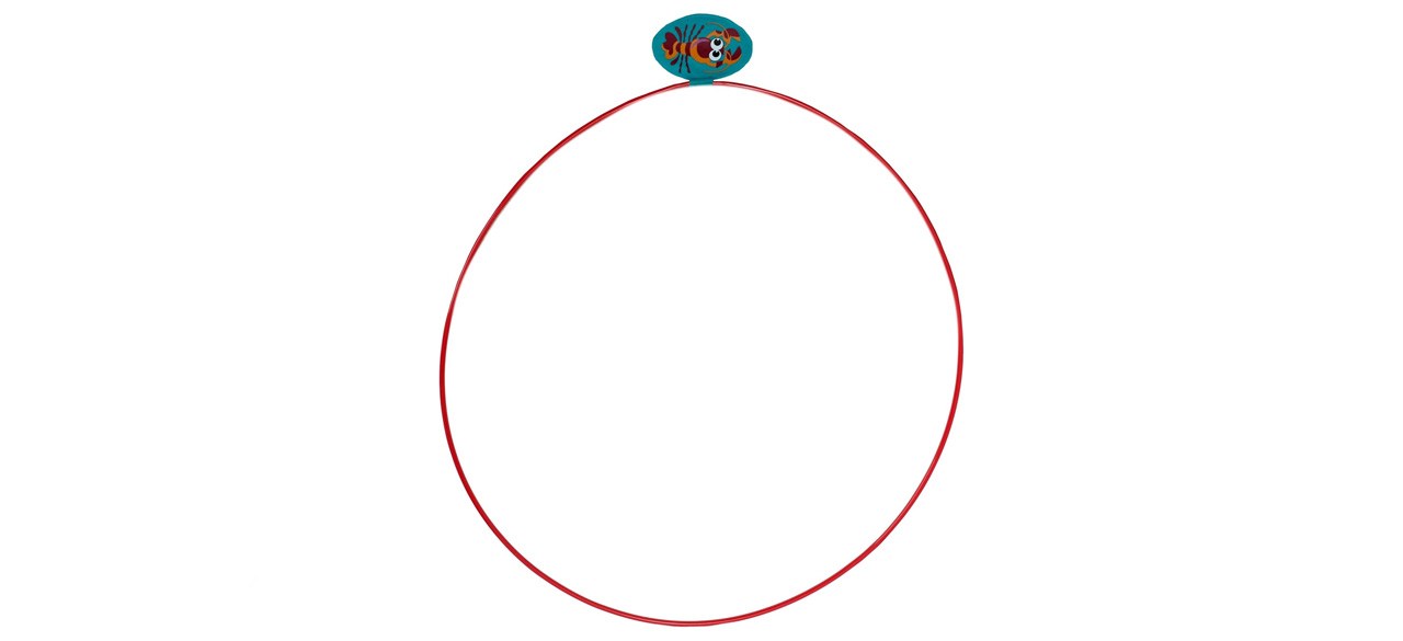 Water Sports Swim-Thru Rings