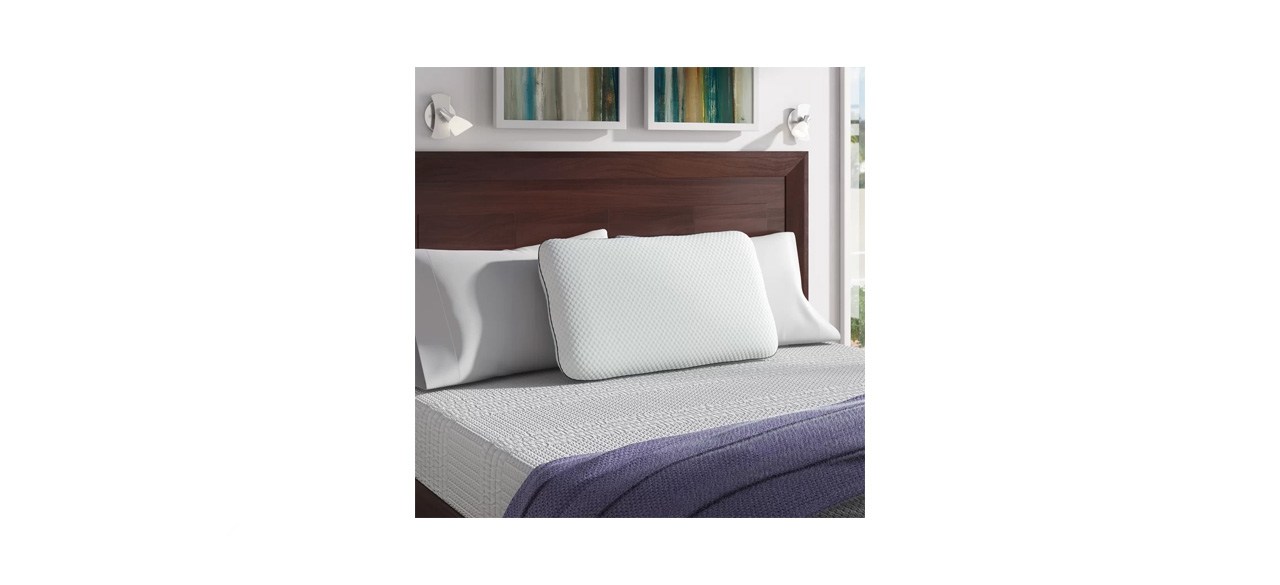 best Wayfair Sleep Memory Foam Medium Support Pillow