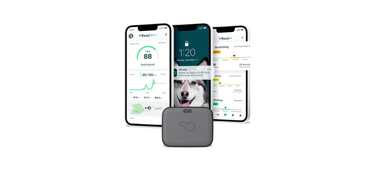 best Whistle Go Explore Pet Health and Location Tracker