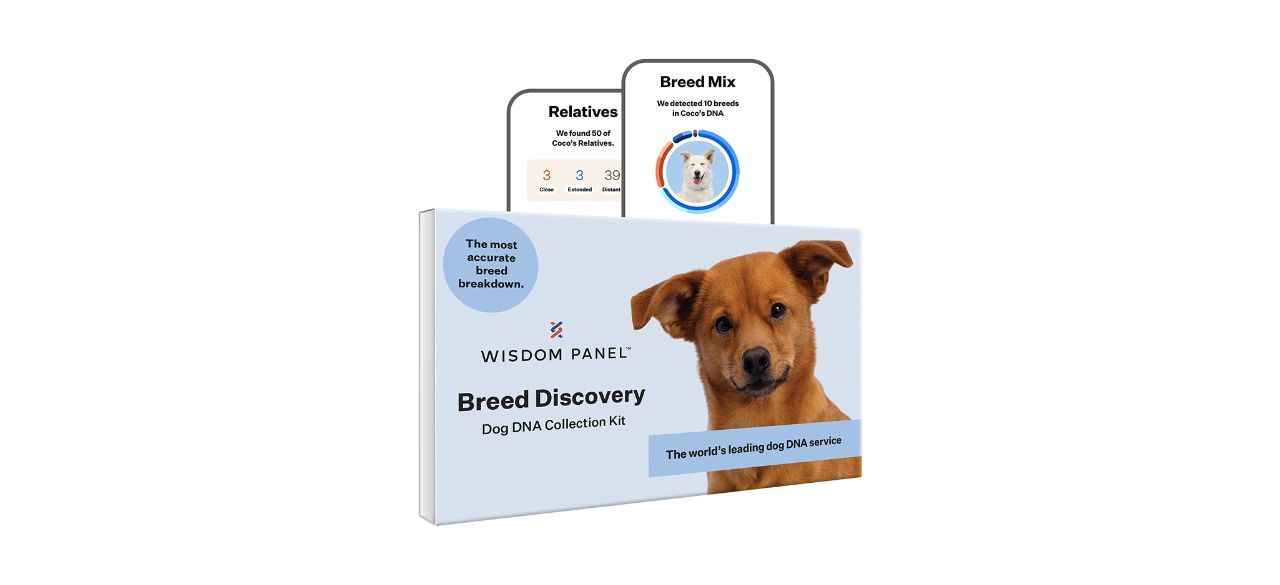  Wisdom Panel 3.0 Canine DNA Test