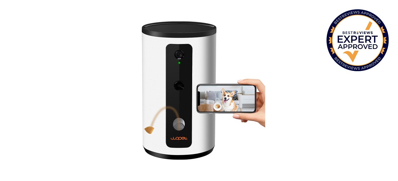 Dog camera on white background