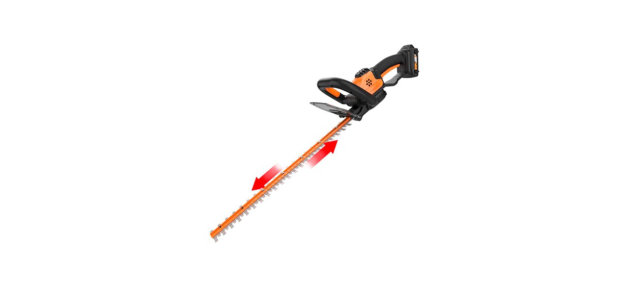 Best Worx Power Share 22-inch Cordless Hedge Trimmer