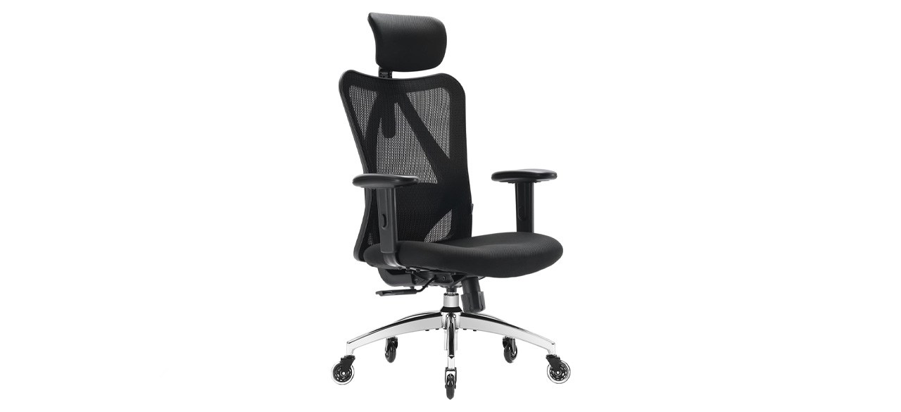 XUER Ergonomics Office Chair Mesh Computer Desk Chair