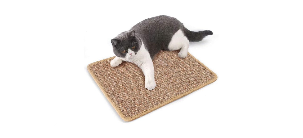 best Yiishi Cat Scratcher Mat