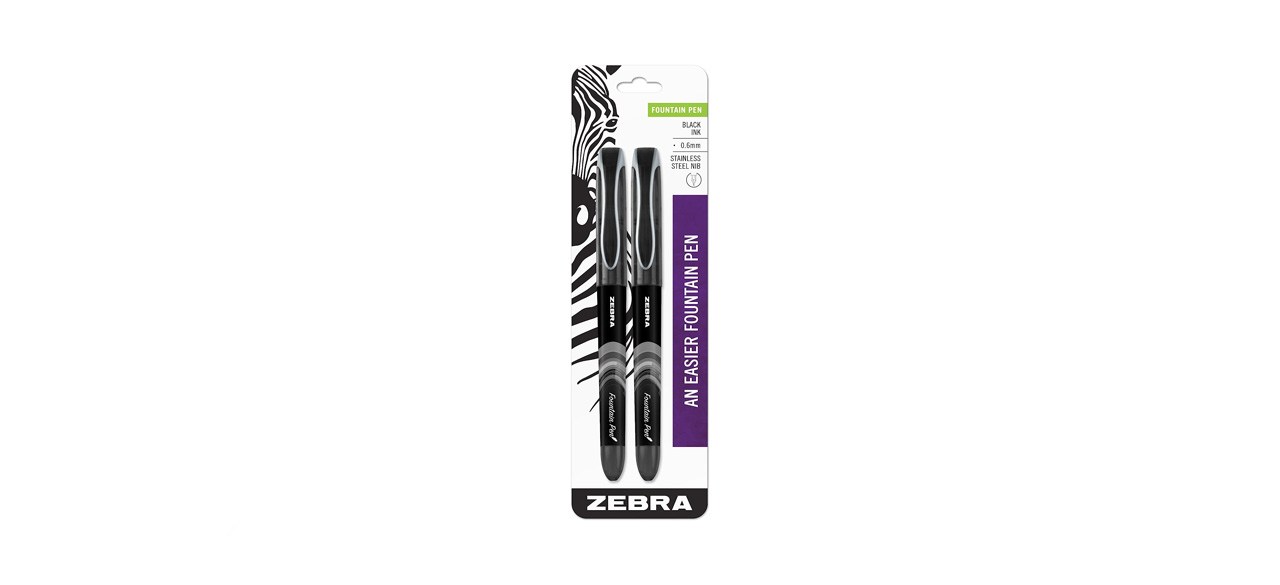 best Zebra Fountain Pen Pack