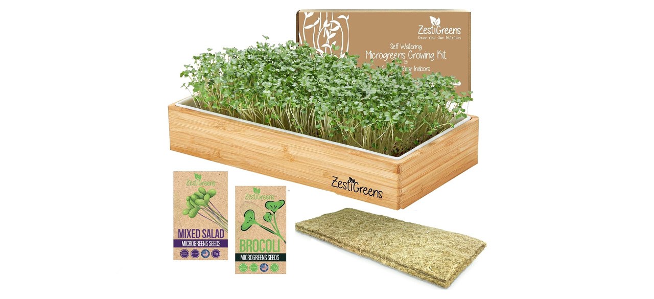 Zestigreens Microgreens Growing Kit Self Watering