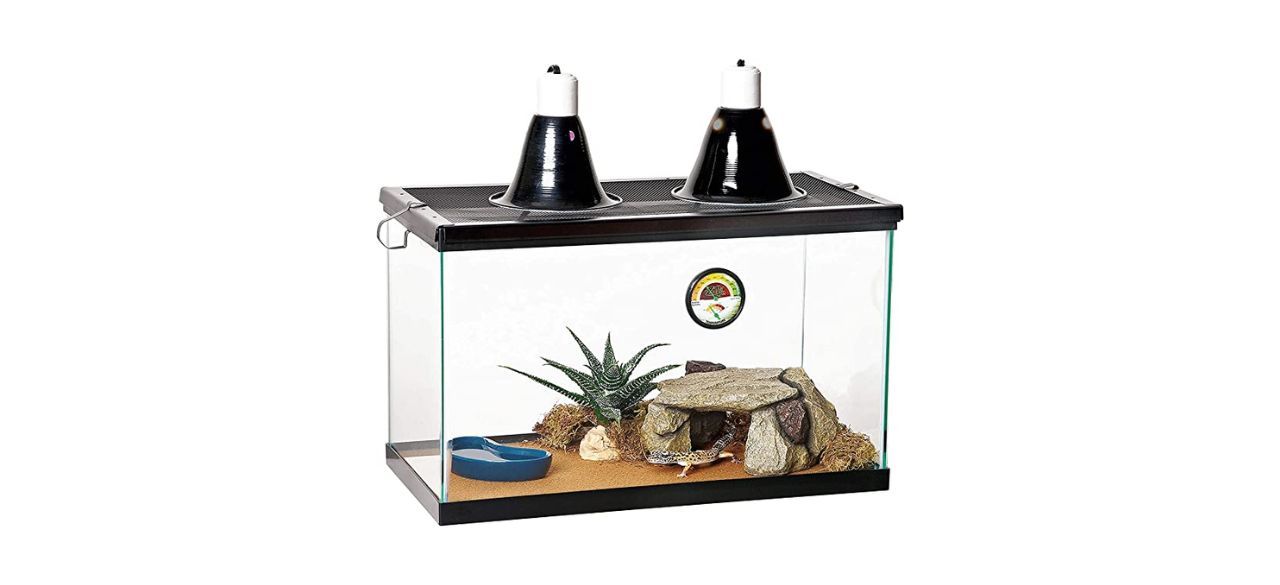 Best Zilla 10-Gallon Desert Reptile Starter Kit 