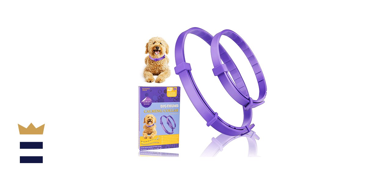 Bigthumb Calming Collars for Dogs