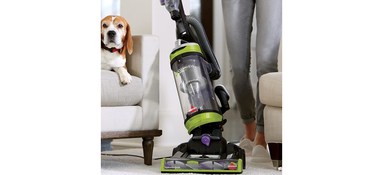 Person using BISSELL 2252 CleanView Upright Bagless Vacuum with dog sitting on sofa in background