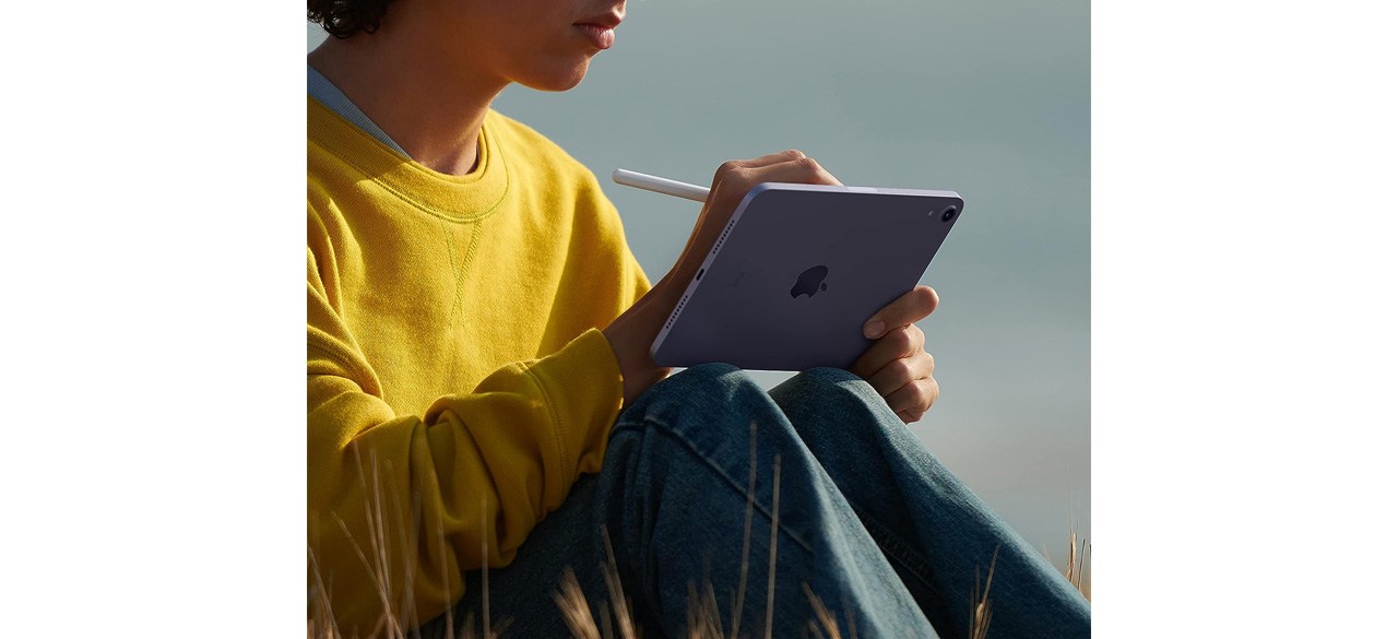 Apple iPad Mini (6th-gen) review: Small fry - Reviewed