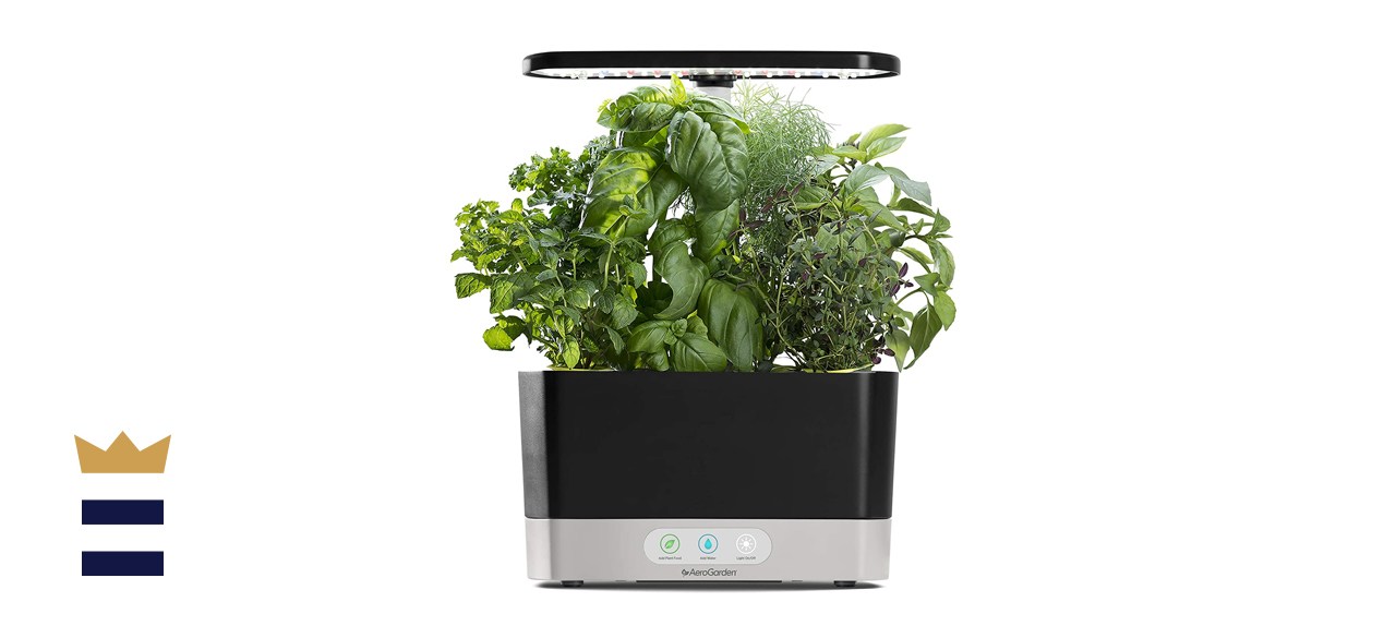Black Harvest indoor hydroponic herb garden by AeroGarden Black Harvest indoor hydroponic herb garden by AeroGarden