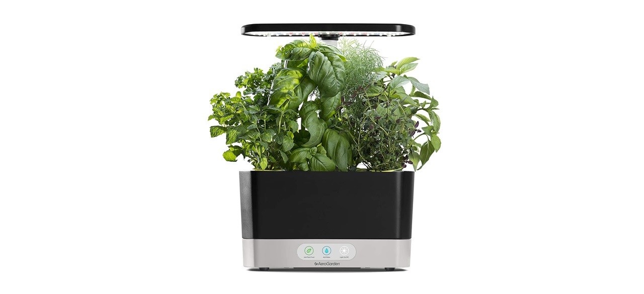 Black Harvest indoor hydroponic herb garden by AeroGarden