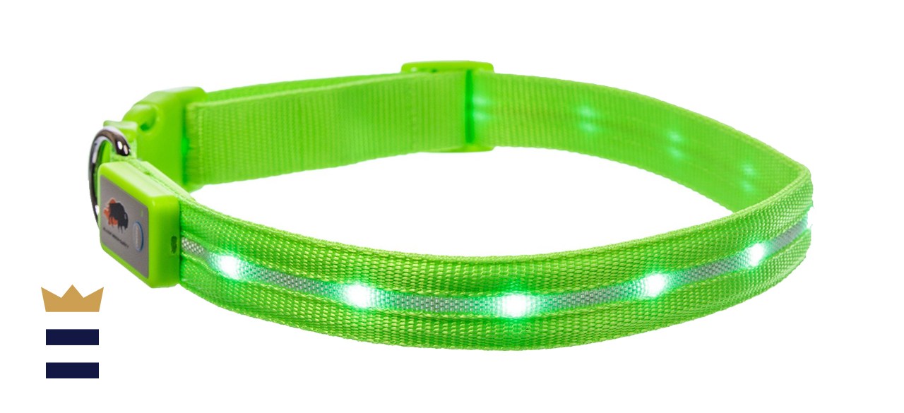 Blazin’ Safety LED USB Rechargeable Dog Collar