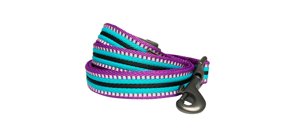 Blueberry Pet Reflective Dog Leash