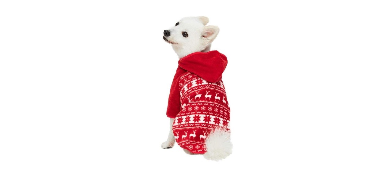 Blueberry Pet Ugly Christmas Holiday Sweater