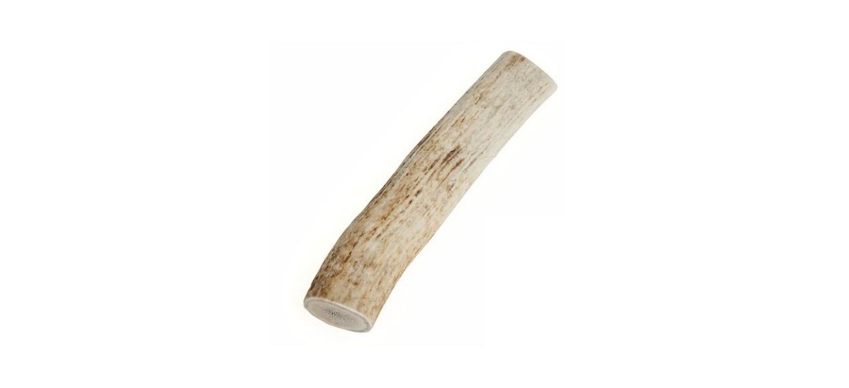 Bones &amp; Chews Elk Antler