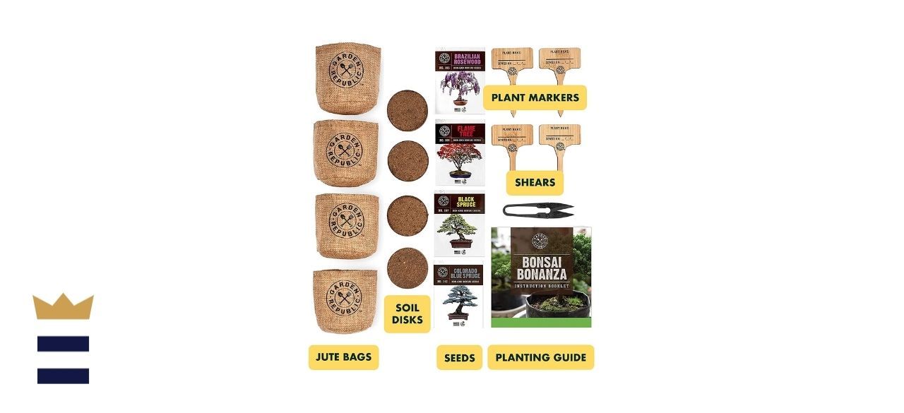 Bonsai Tree Seed Starter Kit