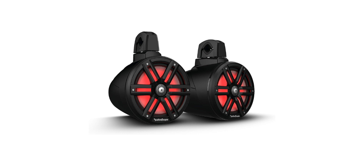 Rockford Fosgate M2WL-8B Color Optix