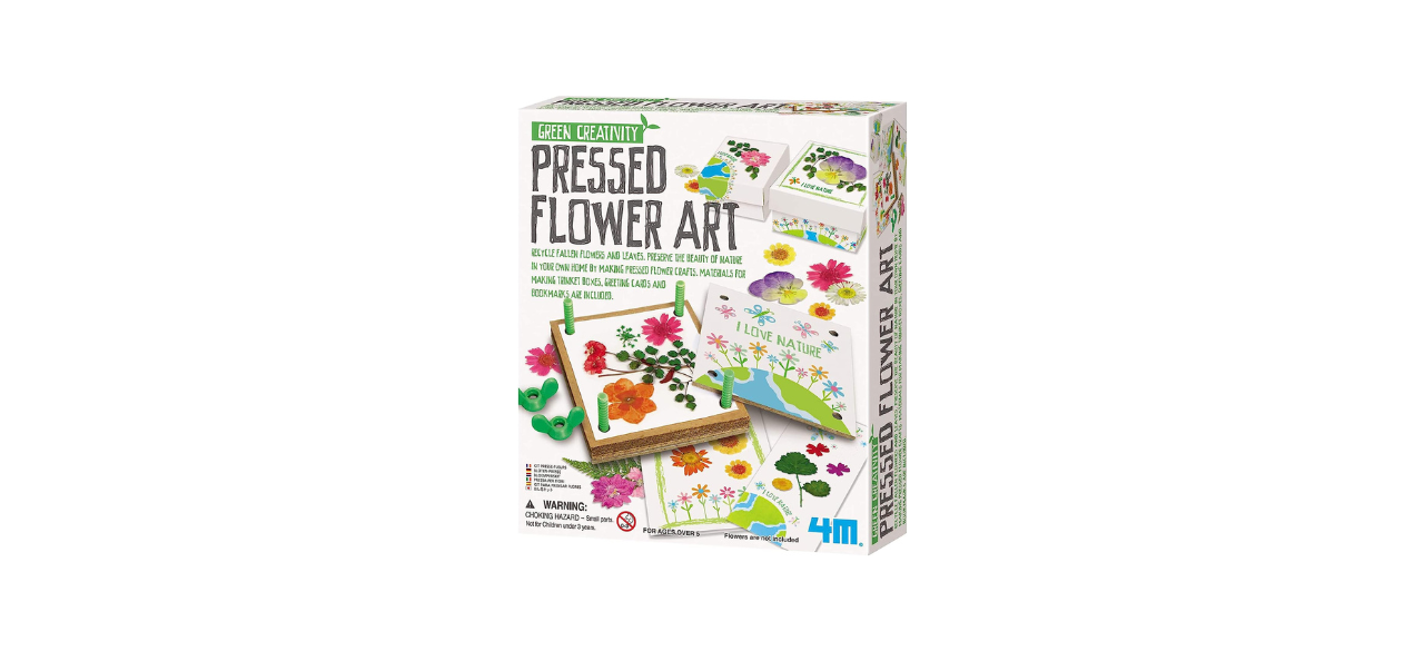 4M Green Creativity Pressed Flower Art Kit