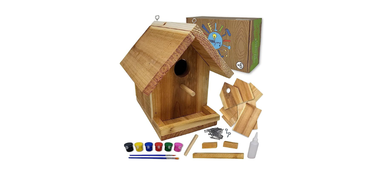 SparkJump Jr Birdhouse Kit With Paint Set, Cedar Wood for Outdoors