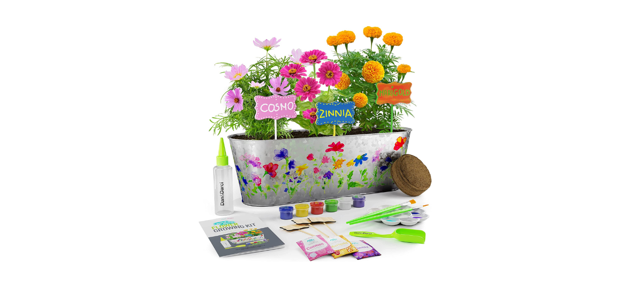 Paint & Plant Flower Growing Kit