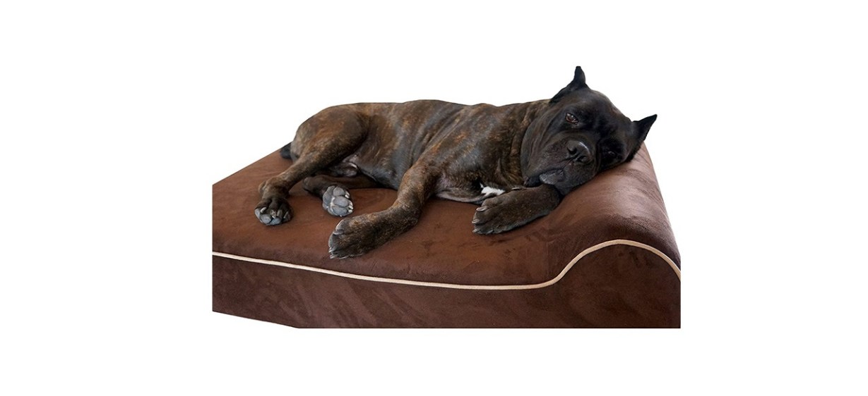 Bully Beds Orthopedic Memory Foam Dog