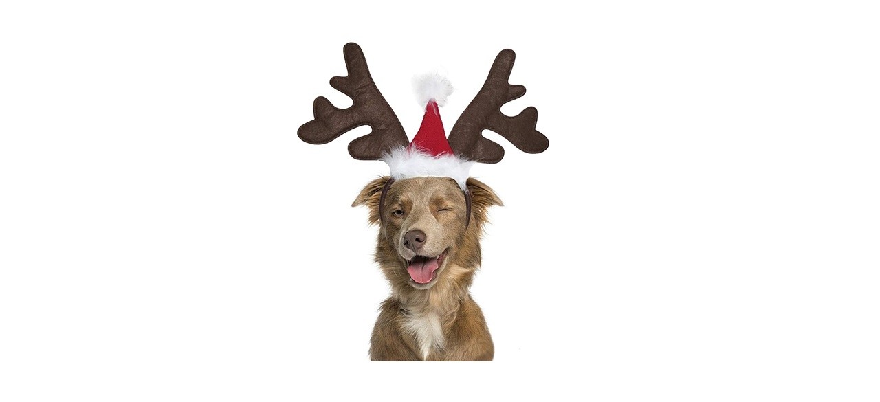 BWOGUE Dog Reindeer Antler Headband with Santa Hat