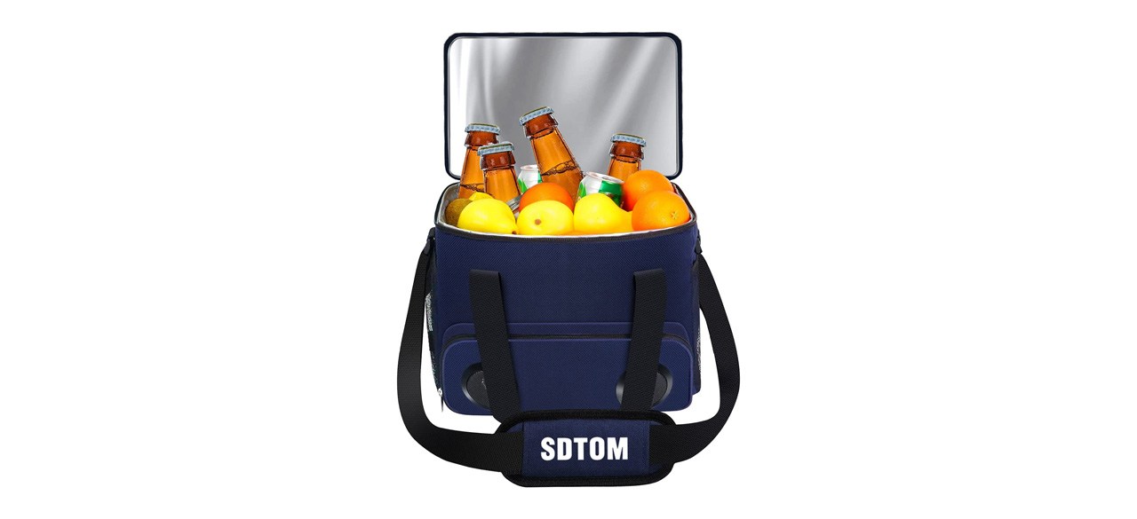 SDTOM Cooler Bag with Bluetooth Speaker