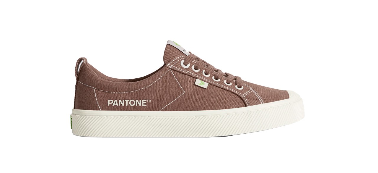 Pantone Cacao Nibs Canvas sneakers on white background