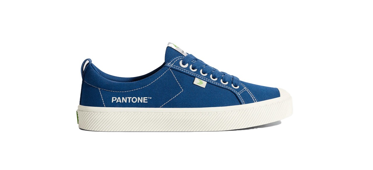 Pantone Navy Peony Canvas sneakers on white background