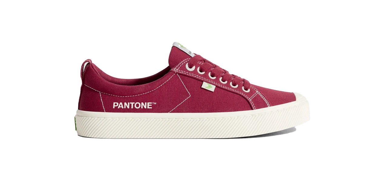 Pantone Ruby Wine Canvas sneakers on white background