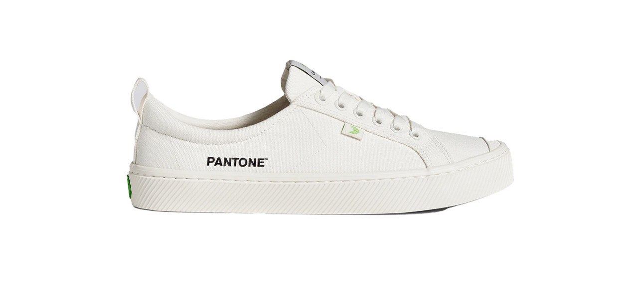 Pantone White Canvas sneakers on white background