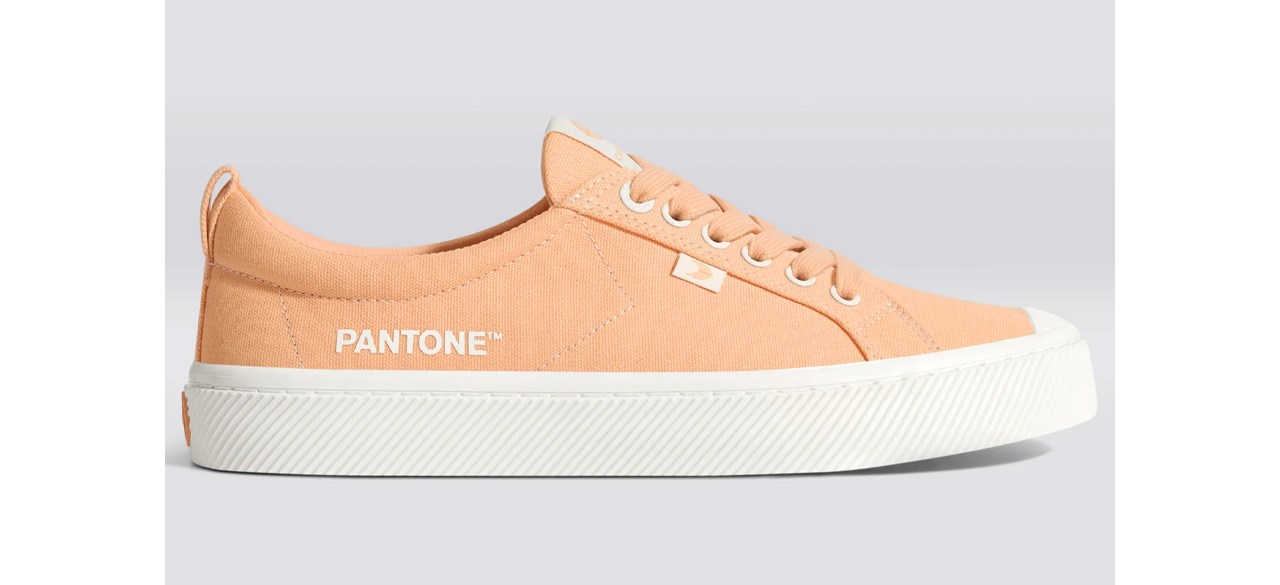 Best Pantone Peach Fuzz Canvas