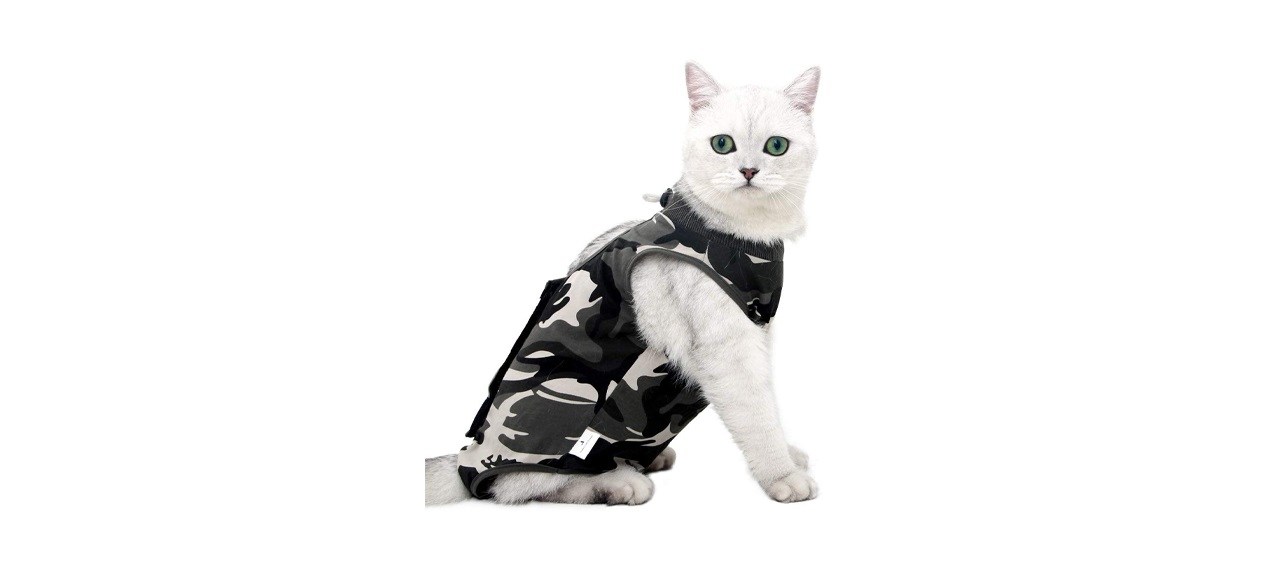 Cat Professional Recovery Suit