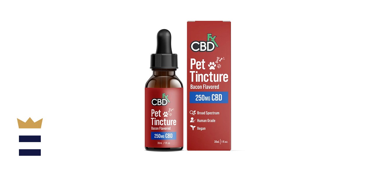 CBDFx 250mg Bottle of Bacon-Flavored Full-Spectrum CBD Oil for Cats