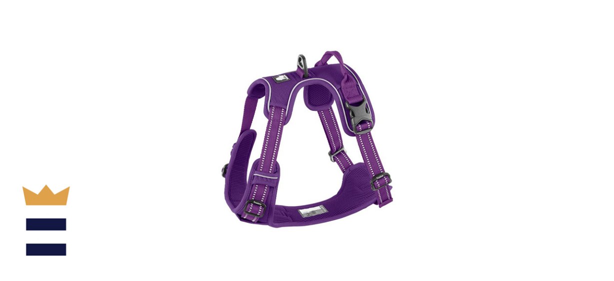 Chai's Choice Premium Outdoor Adventure Dog Harness